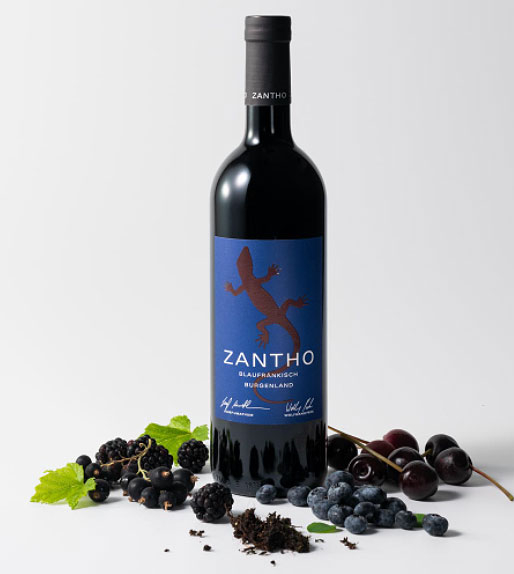 Zantho Blaufränkisch 2021