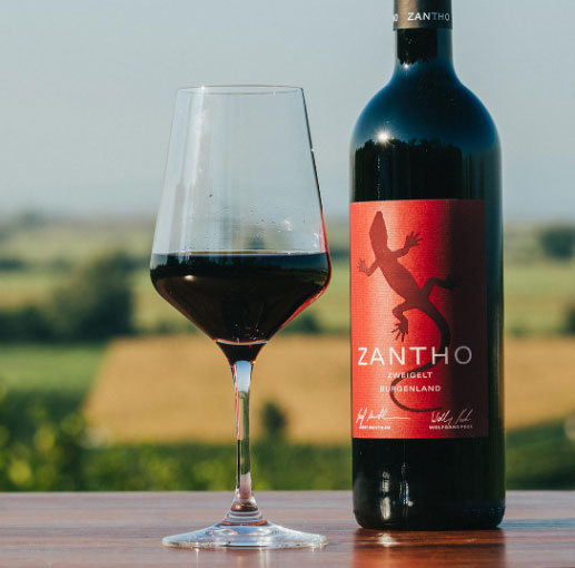 Zantho Zweigelt 2023