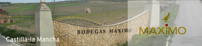 Bodegas Maximo - Baron de Ley