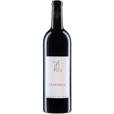 Paul Achs Pannobile 