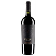 Fantini Sangiovese IGT Terre di Chieti 