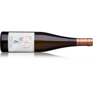 Frischengruber Grüner Veltliner Meine Welt