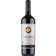 Miguel Torres Santa Digna Cabernet Sauvignon 