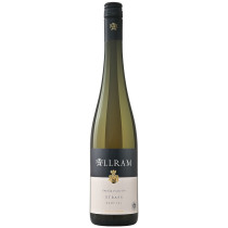 Allram Grüner Veltliner Strass Kamptal DAC 2020