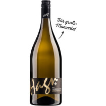 Hagn Grüner Veltliner Hundschupfen 2022 Magnum