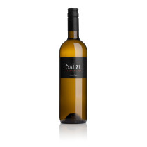 Salzl Chardonnay New Style 2020