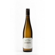 Sepp Moser Riesling von den Terrassen Kremstal DAC 2021